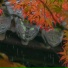 薛晓枫