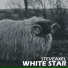 Stevaxel