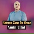 Amin Ulfat