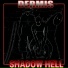 Dermis