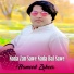 Hameed Zaheer