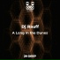Dj Rauff