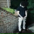 Feng