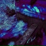 Slowfall