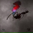 Ant-1