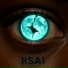 RSAI