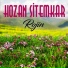 Hozan Sitemkar