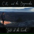 C.R. and the Degenerates