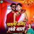 Praveen Yadav, Shrishti Bharti