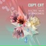 Copy Cat Project
