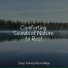 Instrumental, Sleep Baby Sleep, Meditaciónessa