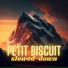 Petit Biscuit