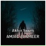 AMJAD ALAMEER