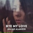 AMJAD ALAMEER