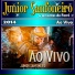 Junior Sanfoneiro