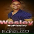 Wesley do Piseiro