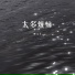 彤大王