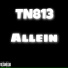 TN813