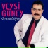 Veysi Güney