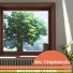 Nu Crepuscolo