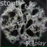 Stout