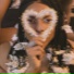LoMaasBello
