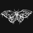 Bxtterfly Effect