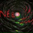 NE8O