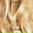 Sylvere