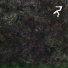 JKrych