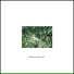Slow Life Music Laboratory
