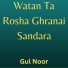 Gul Noor