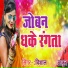 Vishal Thakur