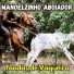 Manoelzinho Aboiador feat. Luiz Aboiador