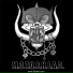 8band