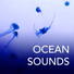 Ocean Waves Specialists