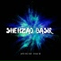 Shehzad Basir