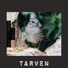 Tarven