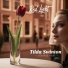 Tilda Swinton, Lounge Beat