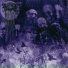 Xasthur