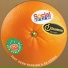 Drumterror feat. Dego Ranking, Ed Hodge