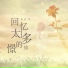 赵晨风