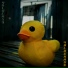 9BLOCKS9