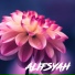 Alifsyah