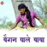 Sumer Sisodiya, Naveen Sen, Rekha Singh