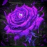 DXRTYTYPE