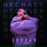 NECHAEV