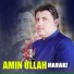 Amin Ullah Marwat