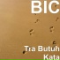 BIC
