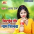 Anand Premi feat. Krishna Nidardi